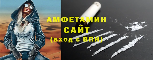 индика Дмитровск