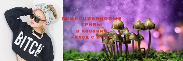 мдпв Дмитров