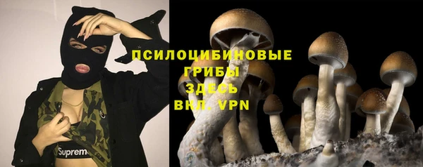 шишки Гусиноозёрск
