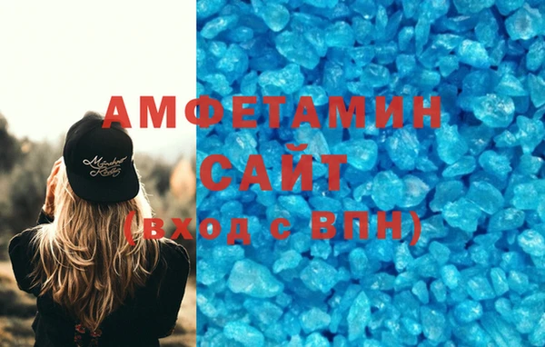 индика Дмитровск