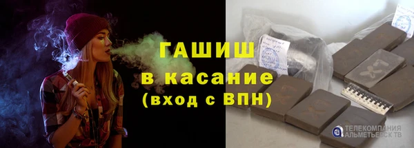 шишки Гусиноозёрск