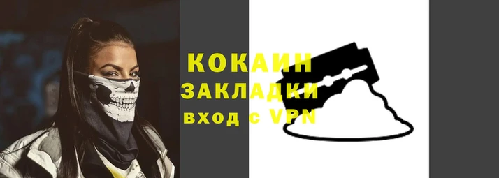 тгк Дмитриев