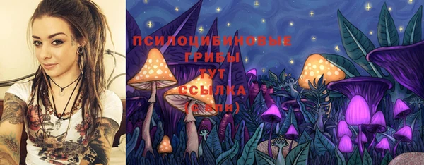 индика Дмитровск