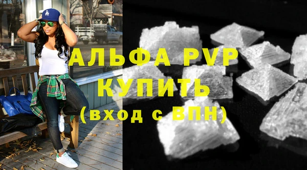 шишки Гусиноозёрск