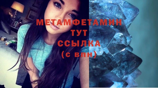 индика Дмитровск