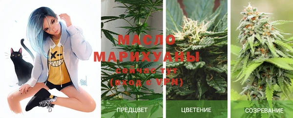 индика Дмитровск