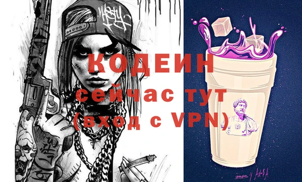 шишки Гусиноозёрск