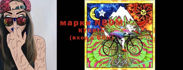 гидра Гусь-Хрустальный