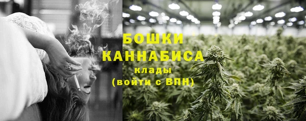 гидра Гусь-Хрустальный