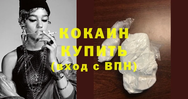 тгк Дмитриев