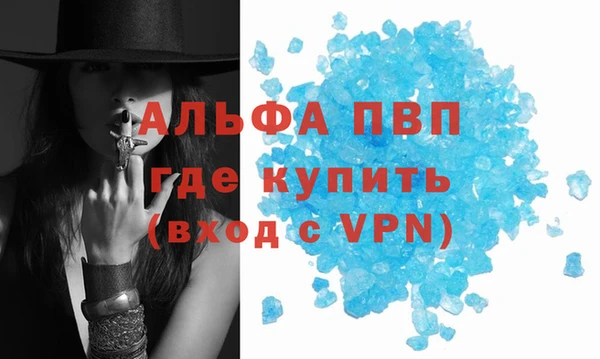 мдпв Дмитров