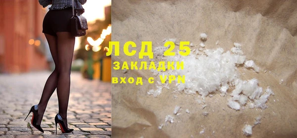 шишки Гусиноозёрск